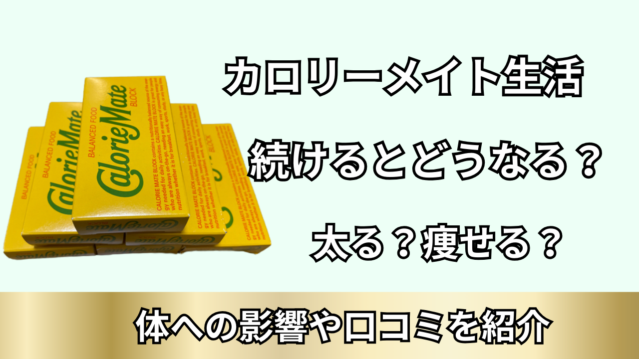 カロリーメイト生活